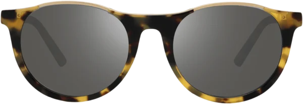 Revo - RE 2200 POLA – 11ch