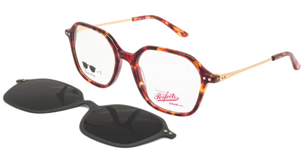 Schott - SCPL061 – Ecaille Rouge Or